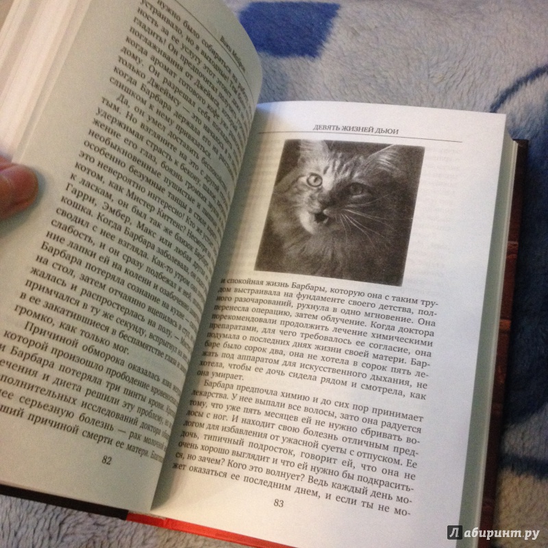 Иллюстрация 9 из 17 для Девять жизней Дьюи. Наследники кота из библиотеки, который потряс весь мир - Вики Майрон | Лабиринт - книги. Источник: la_framboise