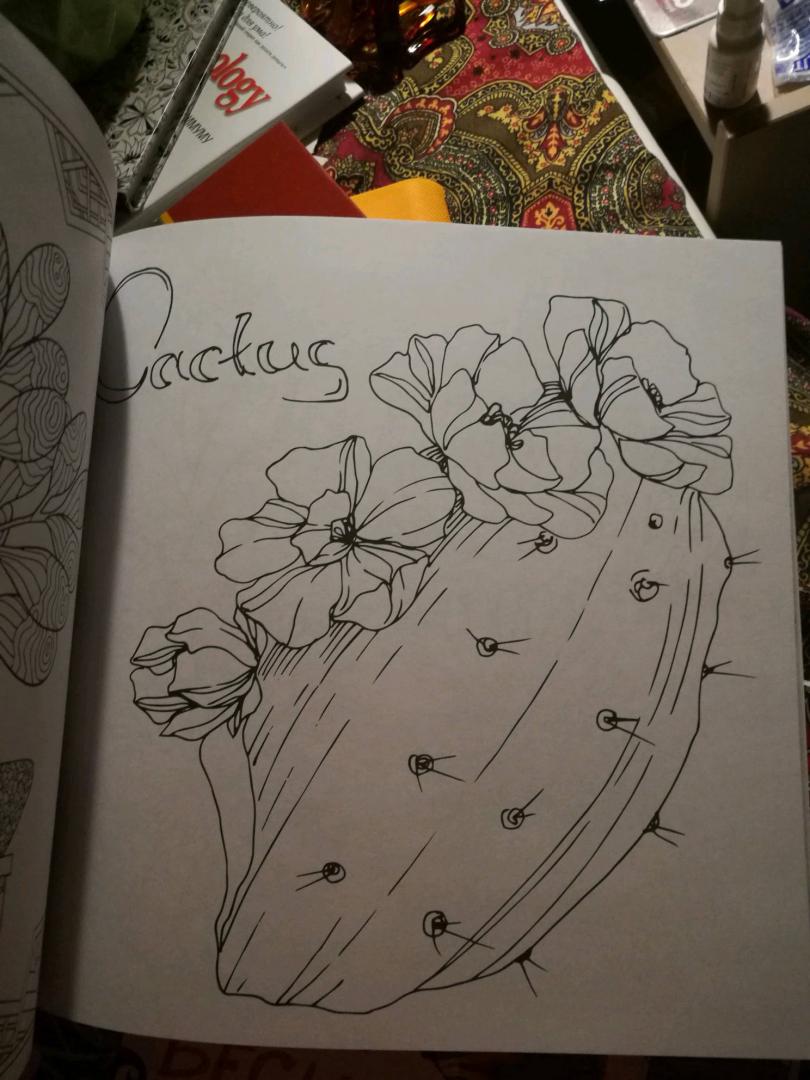 Иллюстрация 45 из 46 для Cactus party. Раскраска-оазис для творчества | Лабиринт - книги. Источник: Сапранкова  Яна