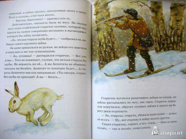Иллюстрация 14 из 51 для Лягушка-путешественница | Лабиринт - книги. Источник: kolobus