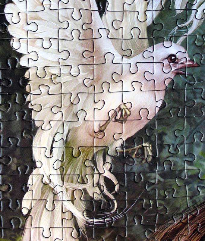 Иллюстрация 14 из 18 для Puzzle-1500. Фэнтези. Девушка с птицами (С-150687) | Лабиринт - игрушки. Источник: WhiteUnicorn