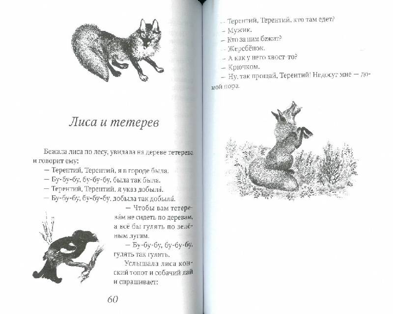Иллюстрация 21 из 29 для Заюшкина избушка. Сказки о животных | Лабиринт - книги. Источник: bel-k