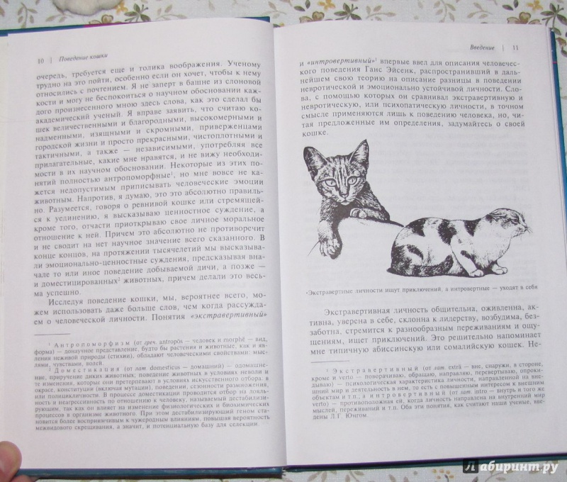 Иллюстрация 19 из 25 для Поведение кошки - Брюс Фогл | Лабиринт - книги. Источник: V  Marisha