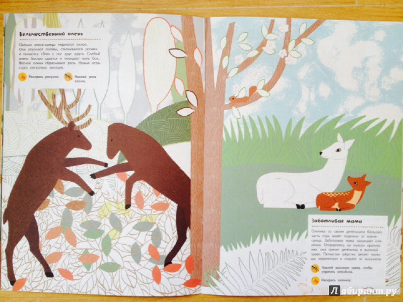 Иллюстрация 6 из 37 для Лесные жители - Оливия Косно | Лабиринт - книги. Источник: olkahn