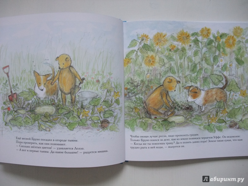 Иллюстрация 23 из 58 для Лето мишки Бруно - Гунилла Ингвес | Лабиринт - книги. Источник: AL980