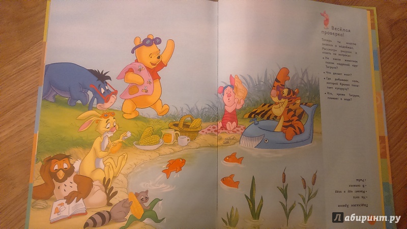 Иллюстрация 46 из 60 для Земля (Winnie the Pooh) | Лабиринт - книги. Источник: Нюта
