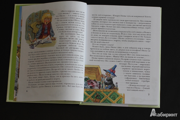 Иллюстрация 43 из 50 для Чудесное путешествие Нильса с дикими гусями - Сельма Лагерлеф | Лабиринт - книги. Источник: LittleDragon
