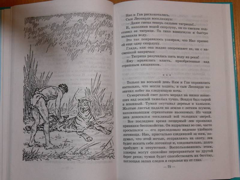 Иллюстрация 5 из 10 для Борьба за огонь - Жозеф Рони-Старший | Лабиринт - книги. Источник: Irbis
