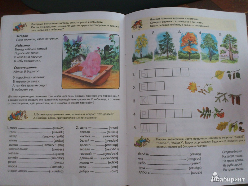 Иллюстрация 7 из 18 для Развиваем речь детям 5-6 лет | Лабиринт - книги. Источник: natali1207