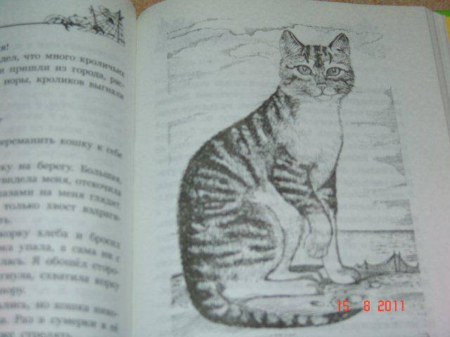 Беспризорная кошка читательский дневник