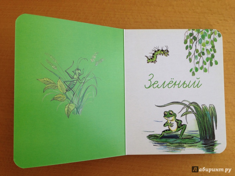 Иллюстрация 8 из 57 для Учим цвета по сказкам и картинкам В. Сутеева | Лабиринт - книги. Источник: Xrjumxrjum