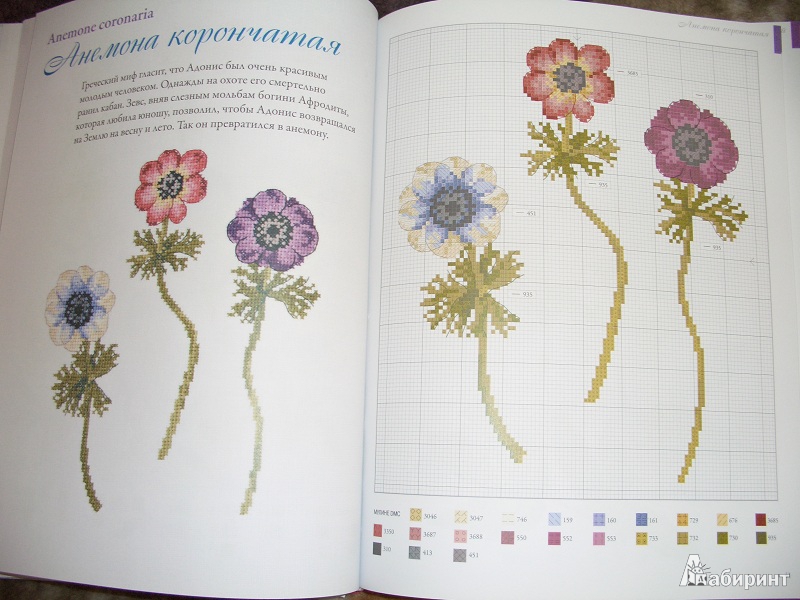 Иллюстрация 14 из 26 для Садовые цветы, вышитые крестом - Вероник Ажинер | Лабиринт - книги. Источник: variae lectiones