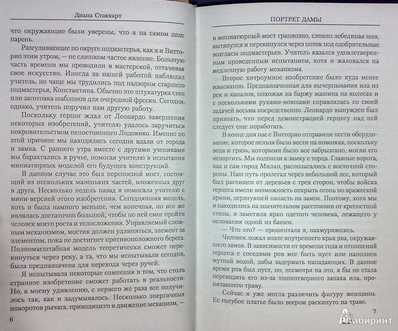 Иллюстрация 5 из 7 для Портрет дамы - Диана Стаккарт | Лабиринт - книги. Источник: Леонид Сергеев