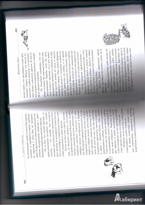 Иллюстрация 10 из 36 для Собрание сочинений в 4-х томах - Эрнест Сетон-Томпсон | Лабиринт - книги. Источник: irivik
