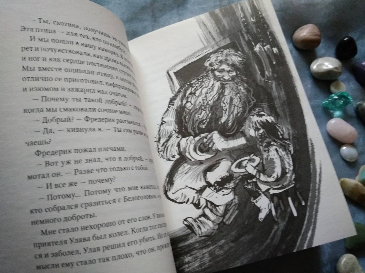 Иллюстрация 64 из 83 для Пираты Ледового моря - Фрида Нильсон | Лабиринт - книги. Источник: Исмайылова Марина