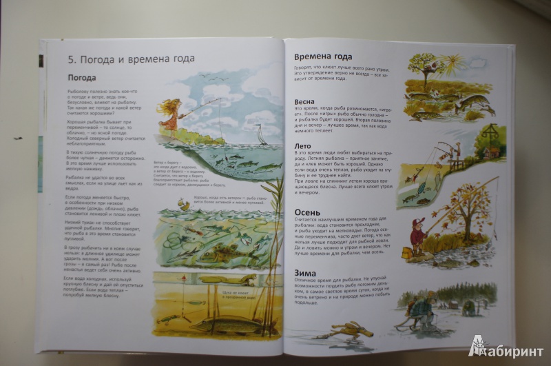 Иллюстрация 19 из 60 для Книга для начинающих великих рыболовов - Нурдквист, Вернер-Карлссон | Лабиринт - книги. Источник: Осипьюк  Марина Сергеевна