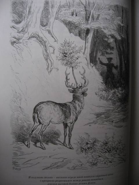 Иллюстрация 42 из 48 для Невероятные путешествия Барона Мюнхгаузена - Готфрид Бюргер | Лабиринт - книги. Источник: svemikh