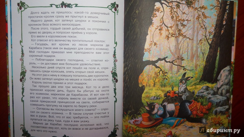 Иллюстрация 28 из 45 для Волшебное кольцо | Лабиринт - книги. Источник: Alenta  Valenta