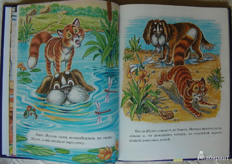 Иллюстрация 4 из 16 для Сказки кота Мурлыки | Лабиринт - книги. Источник: Julia Shilova