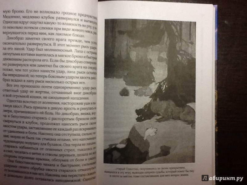 Иллюстрация 6 из 9 для Белый Клык - Джек Лондон | Лабиринт - книги. Источник: Оноприенко  Олег Валерьевич