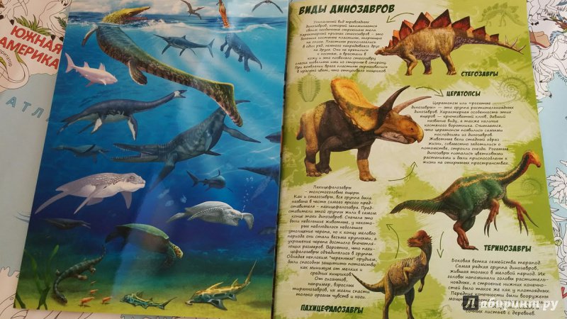 Иллюстрация 4 из 16 для Динозавры. Книжка-панорамка с наклейками | Лабиринт - книги. Источник: olgatout