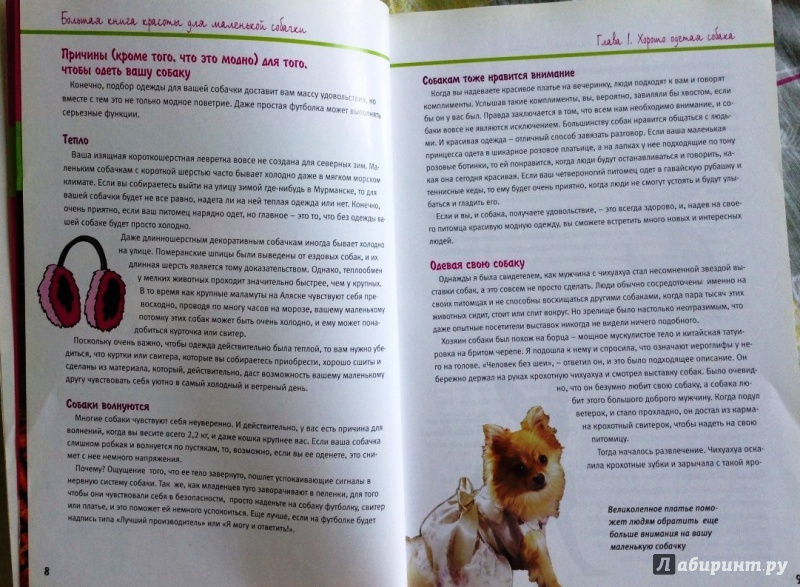 Иллюстрация 14 из 22 для Большая книга красоты для маленькой собачки - Дебора Вуд | Лабиринт - книги. Источник: Космос