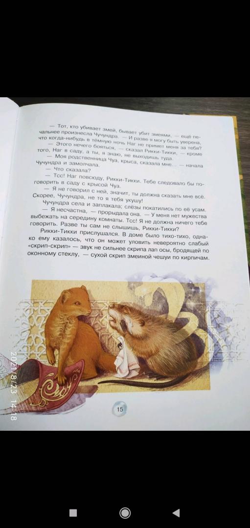 Иллюстрация 39 из 58 для Рикки-Тикки-Тави - Редьярд Киплинг | Лабиринт - книги. Источник: Ekaterina Фиалковая