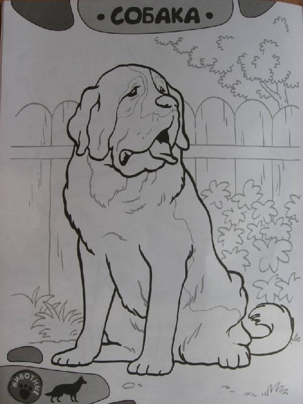 Иллюстрация 6 из 15 для Я учусь рисовать! Животные | Лабиринт - книги. Источник: Юта