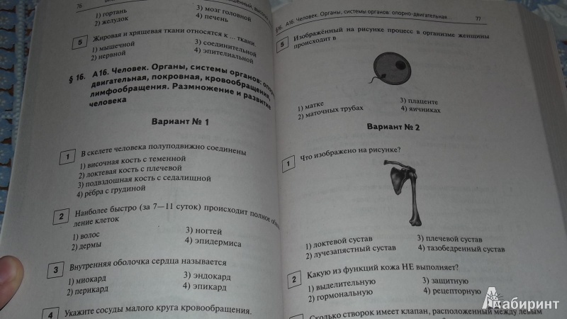 Иллюстрация 8 из 22 для Биология. 10-11 классы. Подготовка к ЕГЭ. Тематические тесты. Все уровни - Кириленко, Колесников | Лабиринт - книги. Источник: Natalya4099