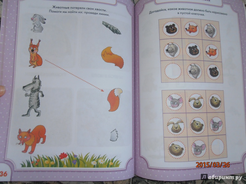 Иллюстрация 19 из 38 для Мир животных. Книжка первых знаний - Олеся Жукова | Лабиринт - книги. Источник: lusiaSA