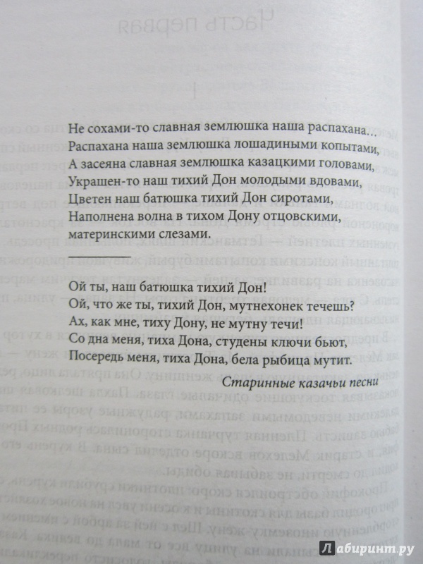 Иллюстрация 19 из 32 для Тихий Дон. Роман в 2 томах. Том 1 (Книги 1 - 2) - Михаил Шолохов | Лабиринт - книги. Источник: Ермакова Юлия