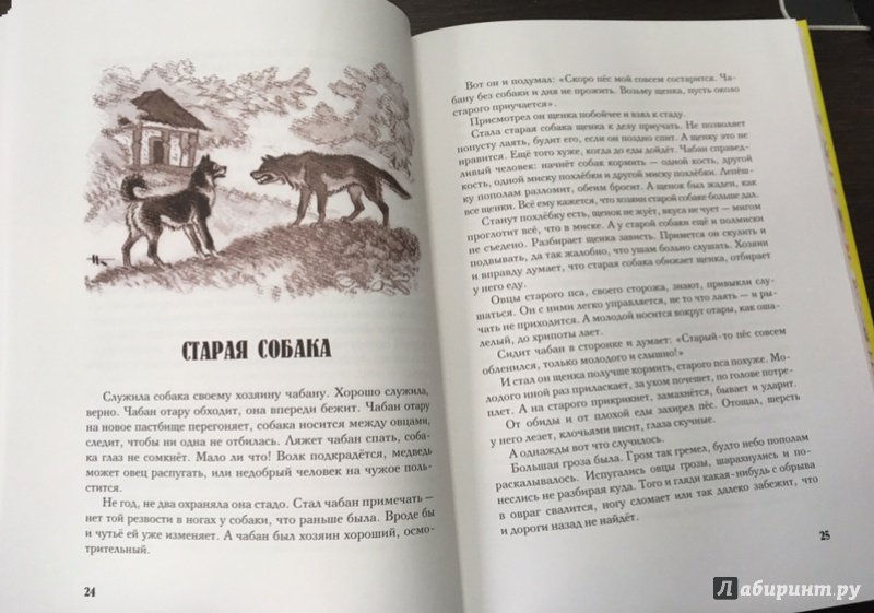 Иллюстрация 15 из 40 для Сказки из одной связки. Молдавские народные сказки | Лабиринт - книги. Источник: Bona Felicia