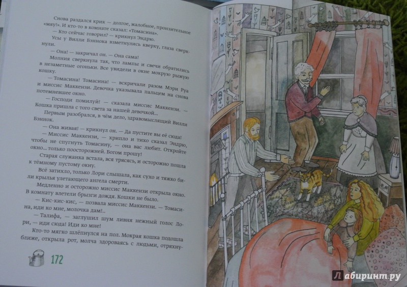 Иллюстрация 16 из 47 для Томасина - Пол Гэллико | Лабиринт - книги. Источник: adsveta