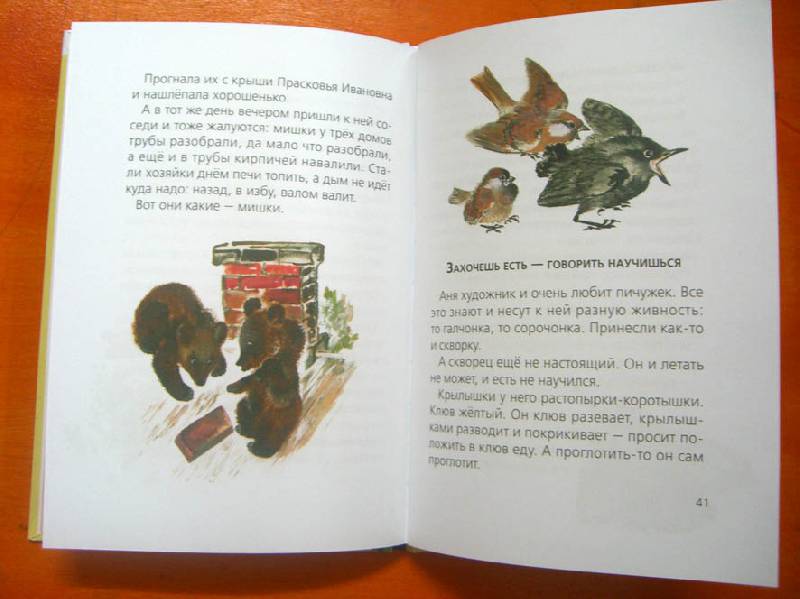 Иллюстрация 19 из 21 для Тюпа и Томка - Евгений Чарушин | Лабиринт - книги. Источник: Avril
