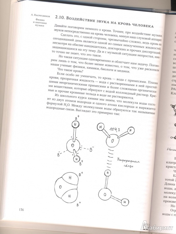 Иллюстрация 4 из 7 для Физика и анатомия музыки - Алексей Насретдинов | Лабиринт - книги. Источник: Mr Gordon