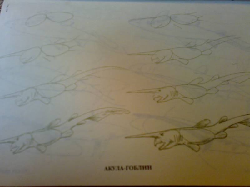 Иллюстрация 30 из 33 для Рисуем 50 акул, китов и других морских животных - Эймис, Бадд | Лабиринт - книги. Источник: Юлия7