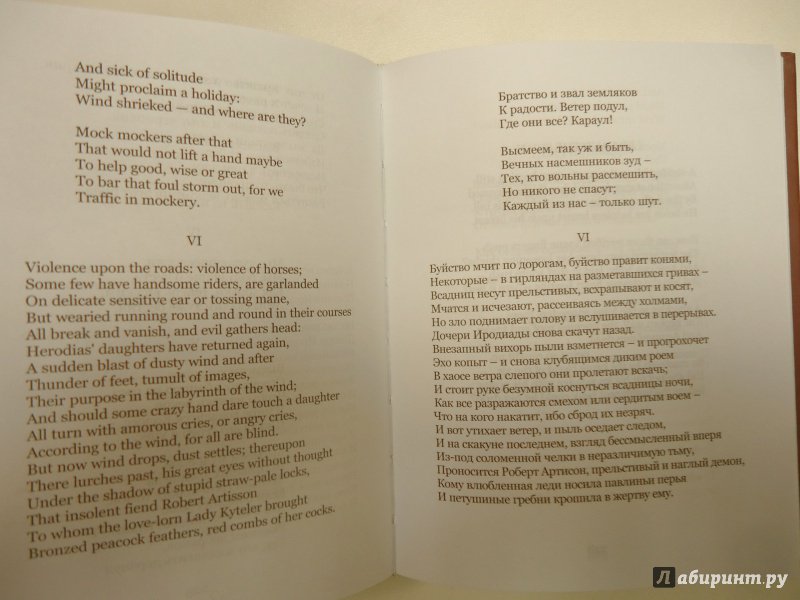 Иллюстрация 63 из 65 для Стихотворения - Уильям Йейтс | Лабиринт - книги. Источник: Затерянная