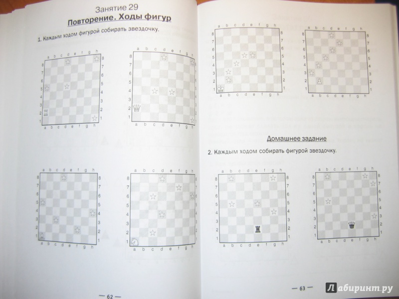 Иллюстрация 10 из 20 для Хочу учиться шахматам! - Анна Дорофеева | Лабиринт - книги. Источник: RoMamka