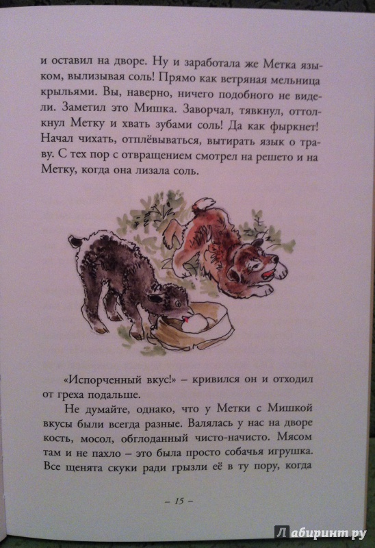 Иллюстрация 7 из 43 для Муха с капризами - Ян Грабовский | Лабиринт - книги. Источник: Kyu82