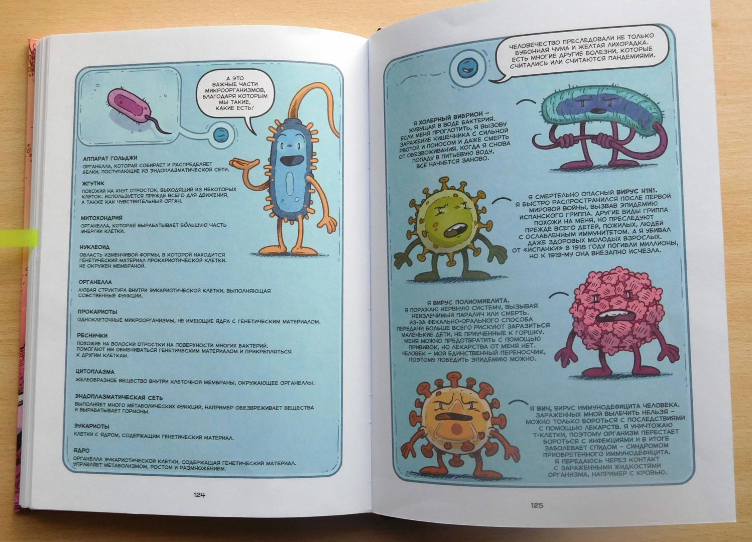 Иллюстрация 54 из 58 для Вирусы и микробы. Научный комикс - Фалинн Кох | Лабиринт - книги. Источник: Годовёнок