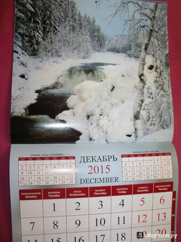 Иллюстрация 13 из 31 для Календарь 2015 "Природа России" | Лабиринт - сувениры. Источник: Tiger.