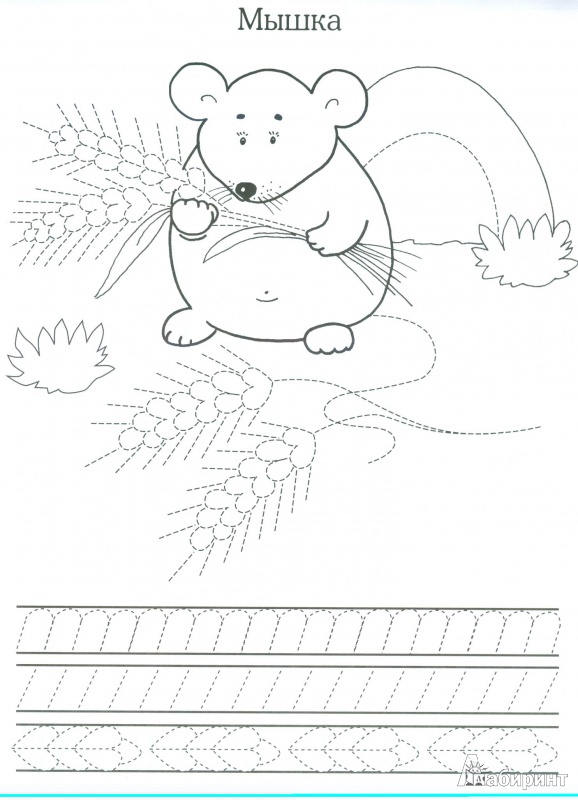 Иллюстрация 3 из 10 для Прописи: Лесные зверюшки - И. Попова | Лабиринт - книги. Источник: амиранна