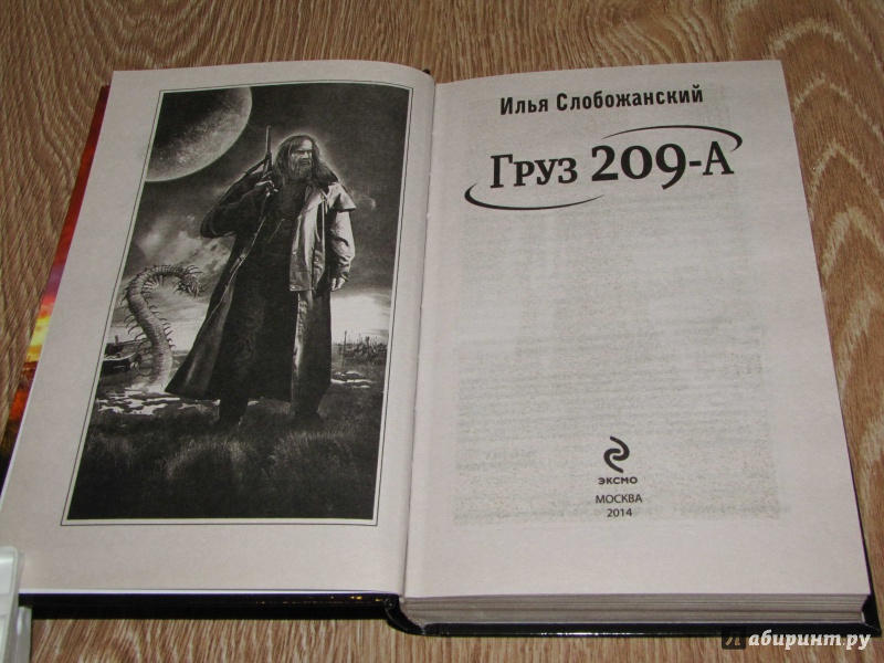 Иллюстрация 6 из 14 для Груз 209 А - Илья Слобожанский | Лабиринт - книги. Источник: leo tolstoy