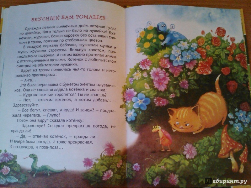 Иллюстрация 15 из 28 для Вкусных вам ромашек - Ринат Курмашев | Лабиринт - книги. Источник: Маринка