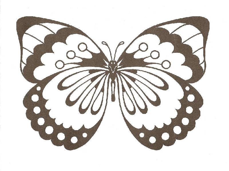 Иллюстрация 14 из 18 для Эстетическое воспитание. Бабочки | Лабиринт - книги. Источник: Кнопа2