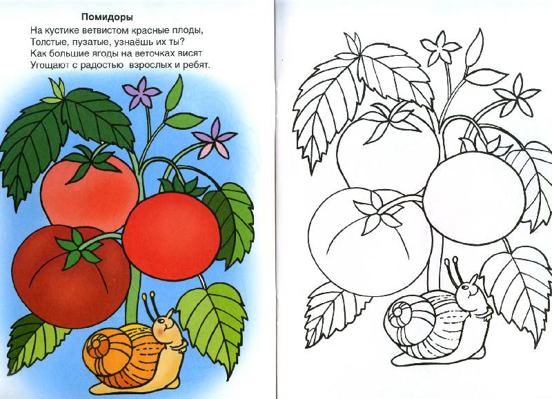 Иллюстрация 4 из 22 для Во саду ли, в огороде - Скребцова, Лопатина | Лабиринт - книги. Источник: Росинка