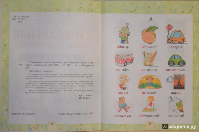 Иллюстрация 13 из 34 для Словарные слова в картинках для начальной школы | Лабиринт - книги. Источник: Муми-мама