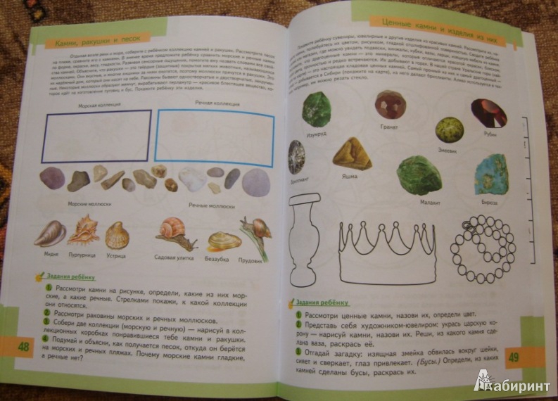 Иллюстрация 21 из 22 для Познаем природу - готовимся к школе: экологическая тетрадь для детей шестилетнего возраста - Николаева, Волкова | Лабиринт - книги. Источник: Tatka
