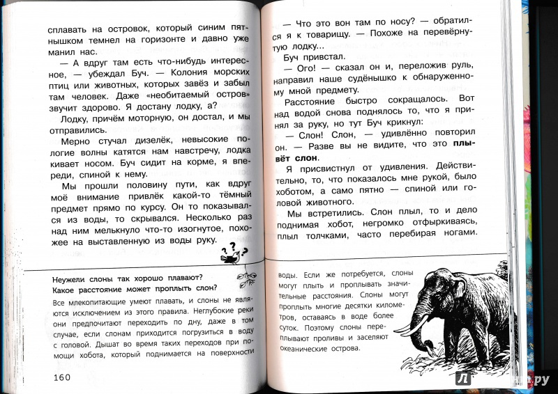 Иллюстрация 55 из 65 для Живые домики. С вопросами и ответами для почемучек - Сахарнов, Мосалов | Лабиринт - книги. Источник: Террил