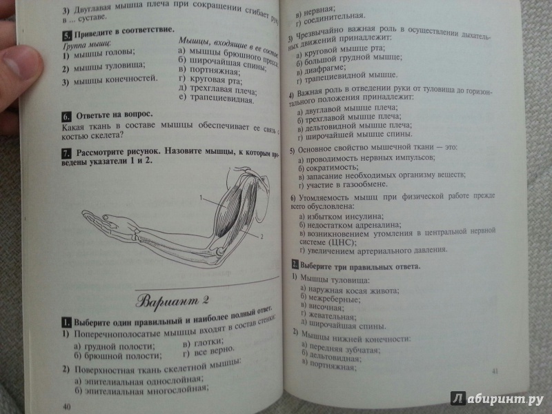 Иллюстрация 3 из 11 для Биология. Человек. 8 класс. Тестовые задания - Сонин, Гуленков | Лабиринт - книги. Источник: Den