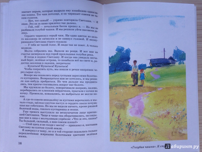 Иллюстрация 8 из 26 для Голубая чашка - Аркадий Гайдар | Лабиринт - книги. Источник: Svetlana